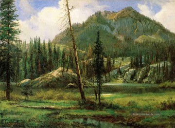  Nevada Kunst - Sierra Nevada Berge Albert Bierstadt